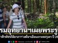 สถิตในดวงใจตราบนานเท่านาน กรมอุทยานฯเผยพระรูป เจ้าฟ้าพัชรกิติยาภาฯ เสด็จฯเกาะตะรุเตา