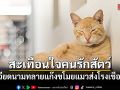 สะเทือนใจคนรักสัตว์ เวียดนามทลายแก๊งขโมยแมวส่งโรงเชือด ช่วยได้กว่า400ตัว
