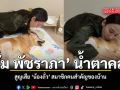 อั้ม พัชราภา น้ำตาคลอ สูญเสีย น้องถั่ว สมาชิกคนสำคัญของบ้าน ชมคลิป
