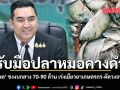 รับมือปลาหมอคางดำ วัชระพล ชงงบกลาง 70-90 ล้าน เร่งเยียวยาเกษตรกร-ตัดวงจรระบาด