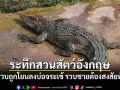 ระทึกสวนสัตว์อังกฤษ เด็กชาย 3 ขวบถูกโยนลงบ่อจระเข้ ตร.รวบชายต้องสงสัยทันควัน