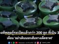 กองทัพลุยกู้ระเบิดแล้วกว่า 200 ลูก ที่เนิน 350! เตือน \'อย่าเดินนอกเส้นทางเด็ดขาด!\'