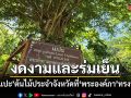 เผยภาพ ต้นแปะ ต้นไม้ทรงปลูกของ พระองค์ภา ผ่านไป 13 ปี วันนี้เติบใหญ่งดงามและร่มเย็น