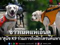 ชาวเน็ตแห่เอ็นดู นวล สุนัข K9 ร่วมภารกิจฝึกโดรนค้นหากู้ภัย