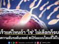 เร็วแค่ไหนถ้า \'ไข่\' ไม่เลือกก็จบ! เผยความลับระดับเซลล์ สเปิร์มแบบไหนที่ได้ไปต่อ