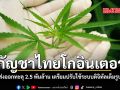 กัญชาไทยโกอินเตอร์ ยอดส่งออกทะลุ 2.5 พันล้าน เตรียมปรับใช้ระบบดิจิทัลเต็มรูปแบบ