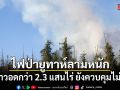 ไฟป่าในรัฐยูทาห์ลุกลามหนัก เผาวอดกว่า 2.3 แสนไร่ ยังควบคุมไม่ได้