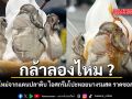 กล้าลองไหม เมนูใหม่จากแดรปลาดิบ ไอศกรีมโปะหอยนางรมสด ราดซอสซีอิ๊ว