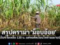 สรุปดราม่า \'ม็อบอ้อย\' ขอเงินช่วยเหลือ 120 บาท แต่ขอตัดเงื่อนไขห้ามเผาแปลง