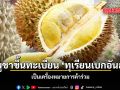 กัมพูชา ประกาศขึ้นทะเบียน ทุเรียนเบกอันลอง เป็นเครื่องหมายการค้าร่วม