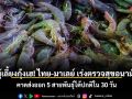 ผู้เลี้ยงกุ้งเฮ! ไทย-มาเลย์ เร่งตรวจสุขอนามัย คาดส่งออก 5 สายพันธุ์ได้ปกติใน 30 วัน