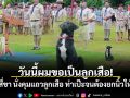 วันนี้ผมขอเป็นลูกเสือ! สี่ขา นั่งคุมแถวลูกเสือ ท่าเป๊ะจนต้องยกนิ้วให้