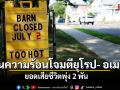 คลื่นความร้อนโจมตียุโรป- อเมริกา ยอดเสียชีวิตพุ่ง2พัน