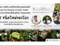 นักวิจัย NSM ร่วมค้นพบ \'บัวบา\' 5 ชนิดใหม่ของโลก ตอกย้ำความอุดมสมบูรณ์ของความหลากหลายทางชีวภาพในพื้นที่ชุ่มน้ำของไทย