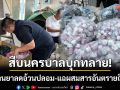 สืบนครบาลบุกทลาย! โรงงานผลิตยาลดความอ้วนปลอม-แฉผสมสารอันตรายถึงชีวิต
