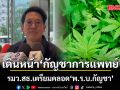 รมว.สธ. เดินหน้า กัญชาการแพทย์ เตรียมคลอด พ.ร.บ.กัญชา คุมเข้มตั้งแต่ปลูก รับมีเล็ดลอดร้านเถื่อน