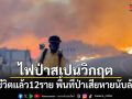 ไฟป่าสเปนวิกฤต คร่าชีวิตแล้ว 12 ราย พื้นที่ป่าเสียหายนับล้านไร่