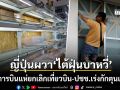 ญี่ปุ่นผวาซูเปอร์ไต้ฝุ่นบาหวี่ สายการบินแห่ยกเลิกเที่ยวบิน ปชช.เร่งกักตุนเสบียง