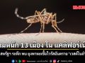 สหรัฐฯ ระทึก พบ ยุงพาหะเชื้อไวรัสอันตราย เวสต์ไนล์ ลามหนัก 13 เมือง ใน แคลิฟอร์เนีย