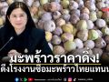 มะพร้าวราคาดิ่ง คต.ดึงโรงงานซื้อมะพร้าวไทยแทนนำเข้า
