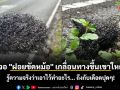 ชาวเน็ตโพสต์เจอ \'ฝอยขัดหม้อ\' เกลื่อนทางขึ้นเขาใหญ่ รู้ความจริงว่าเอาไว้ทำอะไร... ถึงกับเดือดปุดๆ!