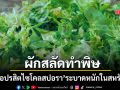 เชื้อปรสิตไซโคลสปอรา ระบาดหนักในสหรัฐ ชาวมิชิแกนป่วยพุ่ง 3,000 ราย คาดมาจากผักสลัด