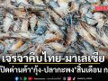 ไทย-มาเลเซีย เตรียมเปิดด่านค้ากุ้ง-ปลากะพง สิ้นเดือน ก.ค.นี้