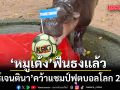 หมูเด้ง ขอแก้มือ! ฟันธง อาร์เจนตินา คว้าแชมป์ฟุตบอลโลก 2026