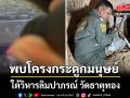 พบโครงกระดูกมนุษย์ ใต้วิหารลิมปาภรณ์ วัดธาตุทอง