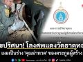 ไขปริศนา! โลงศพแดงวัดธาตุทอง เผยเป็นร่าง \'คุณย่าทวด\' ของตระกูลผู้สร้าง