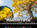 ในหลวง พระราชทานนามพรรณไม้ใหม่ พิมลลักษณ์ เฉลิมพระเกียรติ พระราชินี