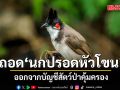 ครม.เห็นชอบ ถอด ‘นกปรอดหัวโขน’ ออกจากบัญชีสัตว์ป่าคุ้มครอง ส่งเสริมเพาะเป็นสัตว์เศรษฐกิจ