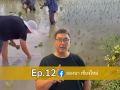 พาส่อง ลองนาคาเฟ่ EP.12 ทำโคกหนองนาฉบับจัดเต็ม ปลูกพืช 5 ระดับยังไงให้ปัง!