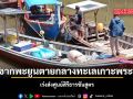 พบซากพะยูนตายกลางทะเลเกาะพระทอง เร่งส่งศูนย์สิรีธารชันสูตร