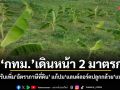 ชง กทม.เดินหน้า 2 มาตรการ ควบคู่ปรับเพิ่มอัตราภาษีที่ดิน แก้ปมแลนด์ลอร์ดปลูกกล้วยแบบยั่งยืน