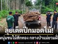 ลุยเด็ดปีกมอดไม้! รวบตัวหนุ่มขนไม้สักทอง 113 แผ่น กลางป่าแม่ยวมฝั่งขวา