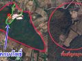 เทศบาลนาหนองทุ่มเอาจริง! แจ้งจับมือมืดบุกรุกป่าโคกนาโพธิ์พื้นที่สาธารณประโยชน์เสียหายกว่า 200 ไร่