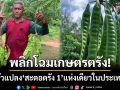 พลิกโฉมเกษตรตรัง! เปิดตัวแปลงแม่พันธุ์ ‘สะตอตรัง 1’ แห่งเดียวในประเทศไทย