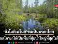 ยูเนสโก ประกาศ บึงโอคีเฟโนกี ในสหรัฐฯ ขึ้นเป็นมรดกโลก ยกให้เป็นพื้นที่ชุ่มน้ำใหญ่ที่สุดในโลก