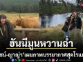 สุดโรแมนติก ณเดชน์ ญาญ่า เผยภาพทริปฮันนีมูนหวานฉ่ำกลางป่าใหญ่สก็อตแลนด์