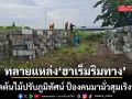 ทลายฮาเร็มริมทาง ตัดต้นไม้ปรับภูมิทัศน์แล้ว หลังเจอถุงยาง ถูกทิ้งเกลื่อน ป้องคนมามั่วสุมเริงรัก