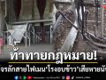ท้าทายกฎหมาย! แก๊งโจรแสบลักสายไฟเมนยักษ์ ‘โรงอบข้าว’ เสียหายยับนับล้าน