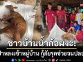 ชาวบ้านน้ำก้อผงะ! เก้งป่าเพศเมียหลงเข้าหมู่บ้าน กู้ภัยรุดช่วยเหลือจนปลอดภัย