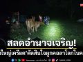 สลดอำนาจเจริญ! หนุ่มใหญ่เครียดปัญหาเศรษฐกิจ ผูกคอลาโลกในคอกวัว