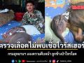 ผลตรวจเลือดไม่พบเชื้อไวรัสเฮอร์ปีส์ กรมอุทยานฯ แจงความคืบหน้า ลูกช้างป่าไทรโยค