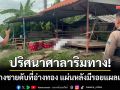 ปริศนาศาลาริมทาง! พบร่างหนุ่มใหญ่ดับที่อ่างทอง แผ่นหลังมีรอยแผลเป็นริ้ว