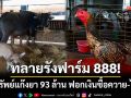 ทลายรังฟาร์ม 888! ยึดทรัพย์แก๊งยานรก 93 ล้าน ฟอกเงินซื้อควายงาม-ไก่ชนพันตัว