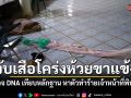 อธิบดีอุทยานฯ ระดมทีมจับเสือโคร่งห้วยขาแข้ง ตรวจดีเอ็นเอ หาตัวทำร้ายเจ้าหน้าที่ คาดมีไม่เกิน 5 ตัว