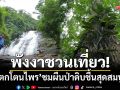 ชุ่มฉ่ำรับหน้าฝน! พังงาชวนเที่ยว ‘น้ำตกโตนไพร’ ชมผืนป่าดิบชื้นสุดสมบูรณ์