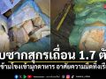 ศพร.สกัดจับ ซากสุกรเถื่อน 1.7 ตัน ลอบข้ามโขงเข้ามุกดาหาร อาศัยความมืดทิ้งเรือหนี